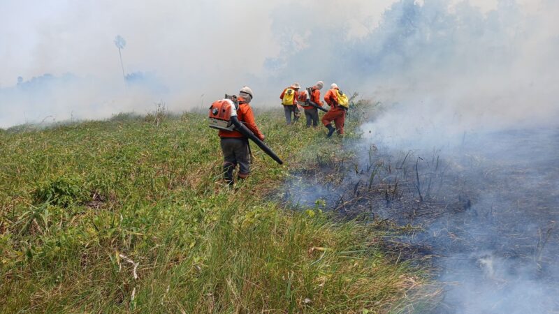 Chuva ameniza incêndios na Serra do Amolar, mas combate segue intenso na região do Paiaguás