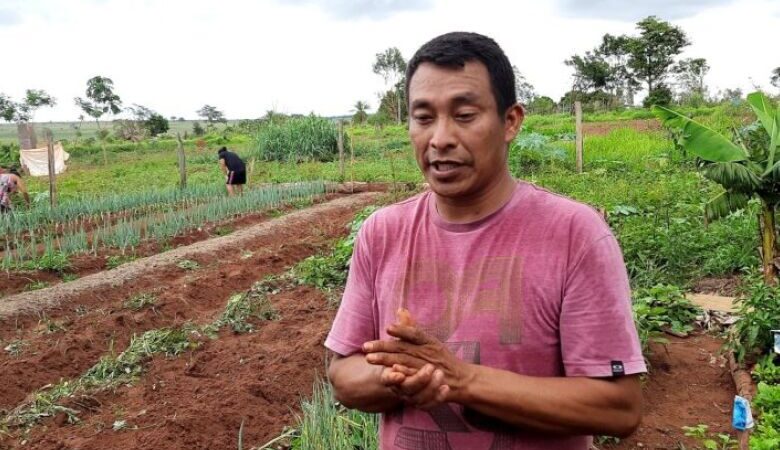 Agricultores familiares devem aderir a programa de R$ 5 milhões