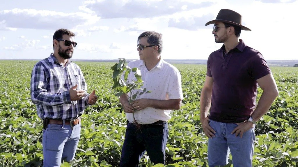 Presidente do Sindicato Rural alerta para perdas da soja provocadas por onda de calor