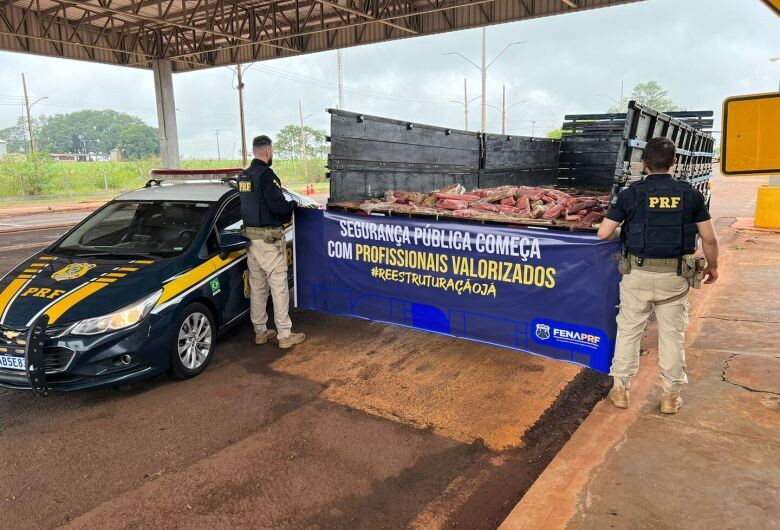 Maconha apreendida em fundo falso de caminhão pesou mais de 300 quilos