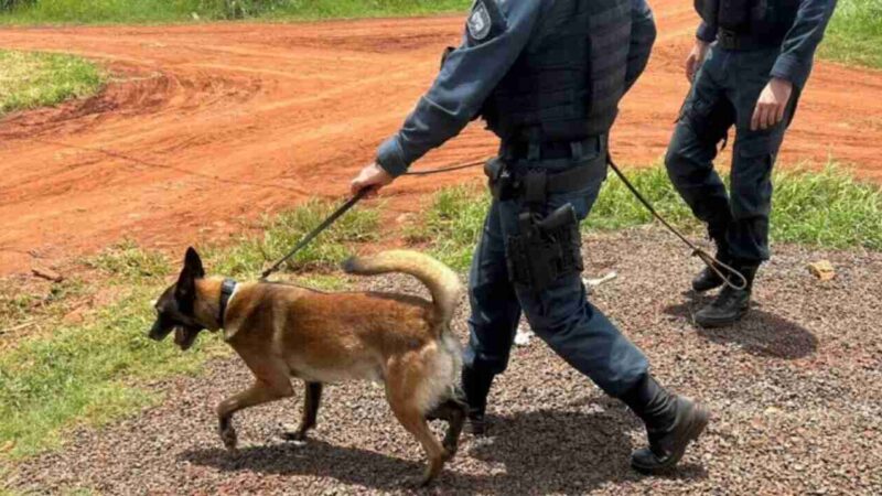 Homem apontado como um dos principais fornecedores de drogas em Dourados é preso