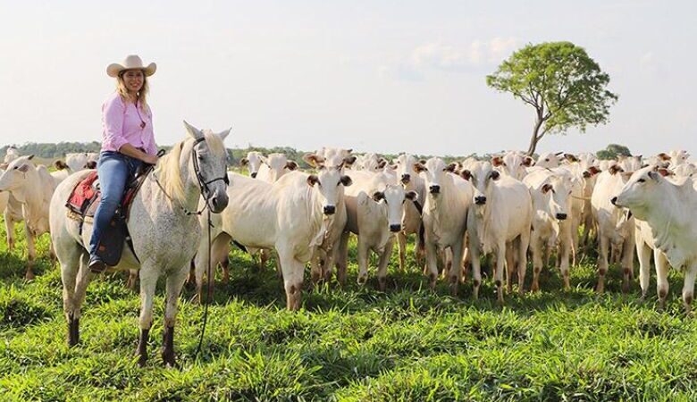 Dourados inicia a quarta-feira com altas nos preços do agronegócio