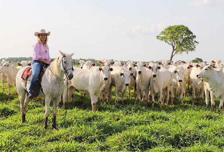 Dourados inicia a quarta-feira com altas nos preços do agronegócio