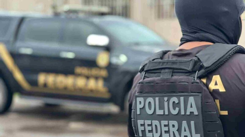 PF cumpre mandado de busca e apreensão contra desmatamento ilegal em Itaquiraí