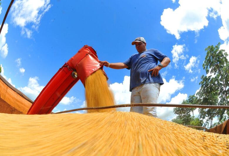 Exportações de MS crescem 17,4% em janeiro com destaque para celulose, soja e minério de ferro