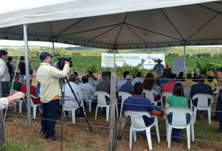 MS incentiva a fruticultura para diversificar a base produtiva