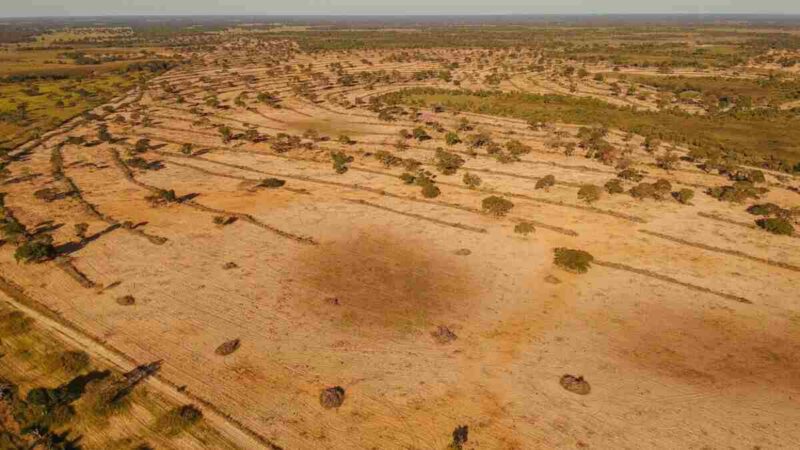 Governo publica decreto que regulamenta e Lei do Pantanal está oficialmente em vigor