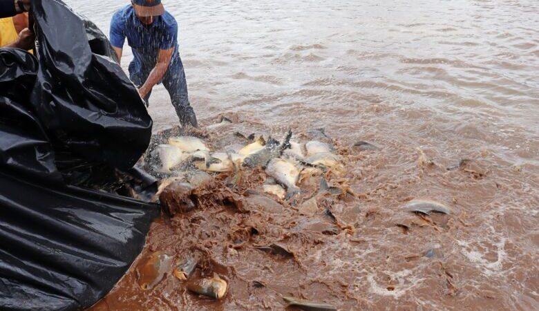 Parque do Lago e Rego D’água recebem 3,6 toneladas de peixes para ‘Pesque e Leve’