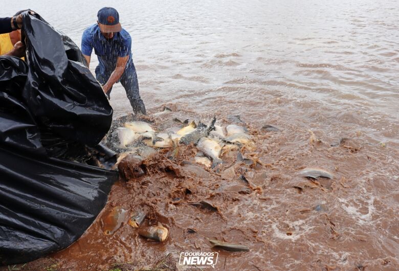 Parque do Lago e Rego D’água recebem 3,6 toneladas de peixes para ‘Pesque e Leve’