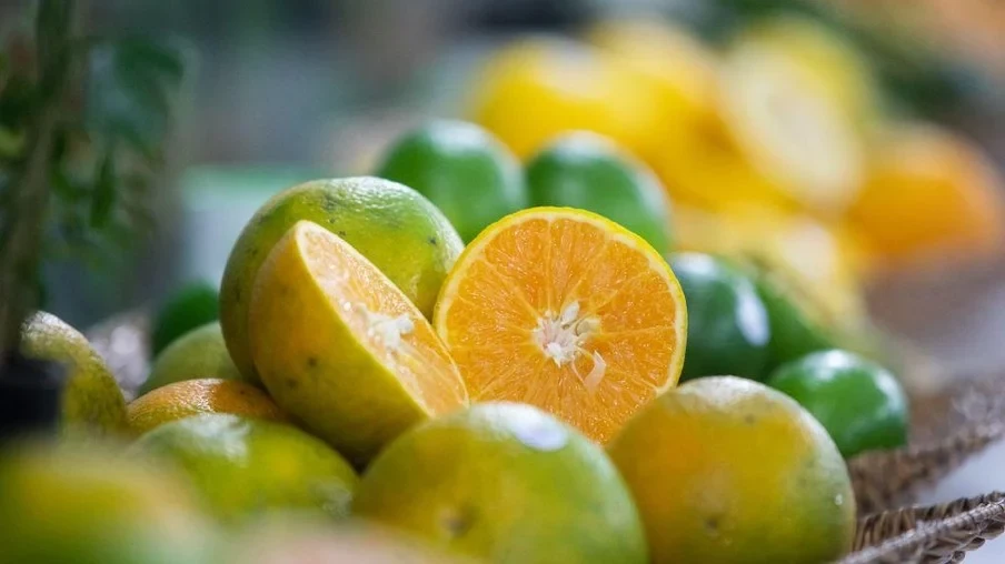 Laranja bate recorde histórico de preço, aponta Cepea