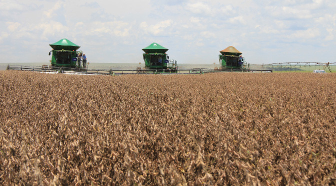 Produtores de MS com perdas na safra podem renegociar dívidas do crédito rural