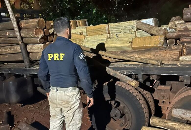 Polícia apreende mais de 2t de maconha em meio a carga de eucalipto