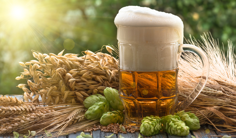 Com 1.847 cervejarias registradas no Brasil, setor cresce 6,8% em 2023