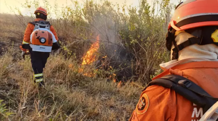 Seis fazendas deram origem a incêndios que se alastraram pelo Pantanal, aponta investigação