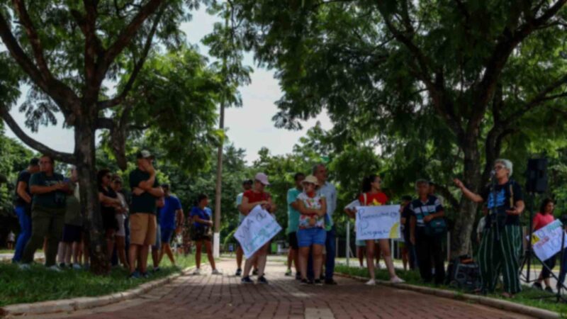 Ambientalista rebate insistência do MPMS em acordo que libera desmatamento: ‘Não trouxe elementos novos’