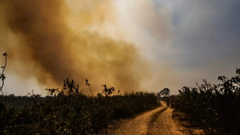 Seca inédita agrava situação e queimadas devem consumir 2 milhões de hectares do Pantanal em 2024