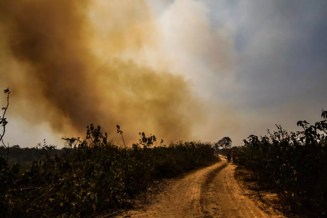 Seca inédita agrava situação e queimadas devem consumir 2 milhões de hectares do Pantanal em 2024