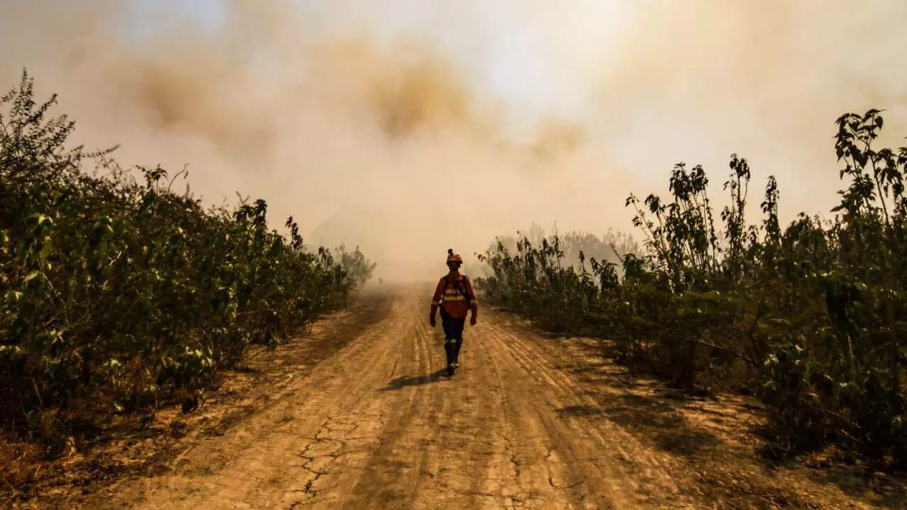 Em pior junho da história, Mato Grosso do Sul registra mais de 2,4 mil focos de incêndio