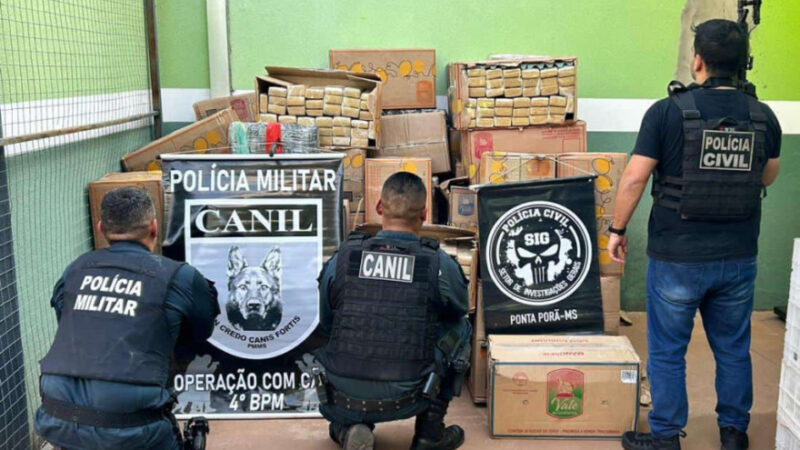 Operação conjunta apreende quase duas toneladas de maconha na fronteira