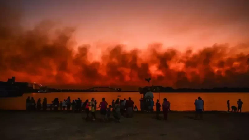 Entenda o que diz o Estatuto do Pantanal, aprovado em comissão do Senado