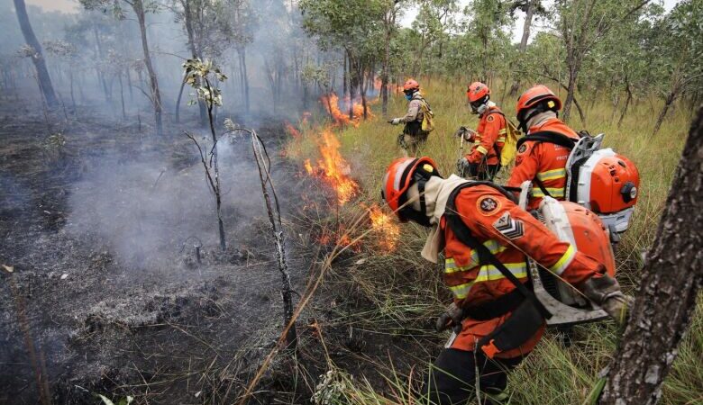 Relatório aponta início de incêndios por mais de três anos em 4 propriedades na região do Pantanal