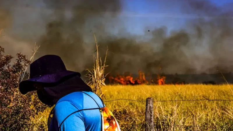 Com fumaça vista a distância, bombeiros combatem três incêndios em Campo Grande