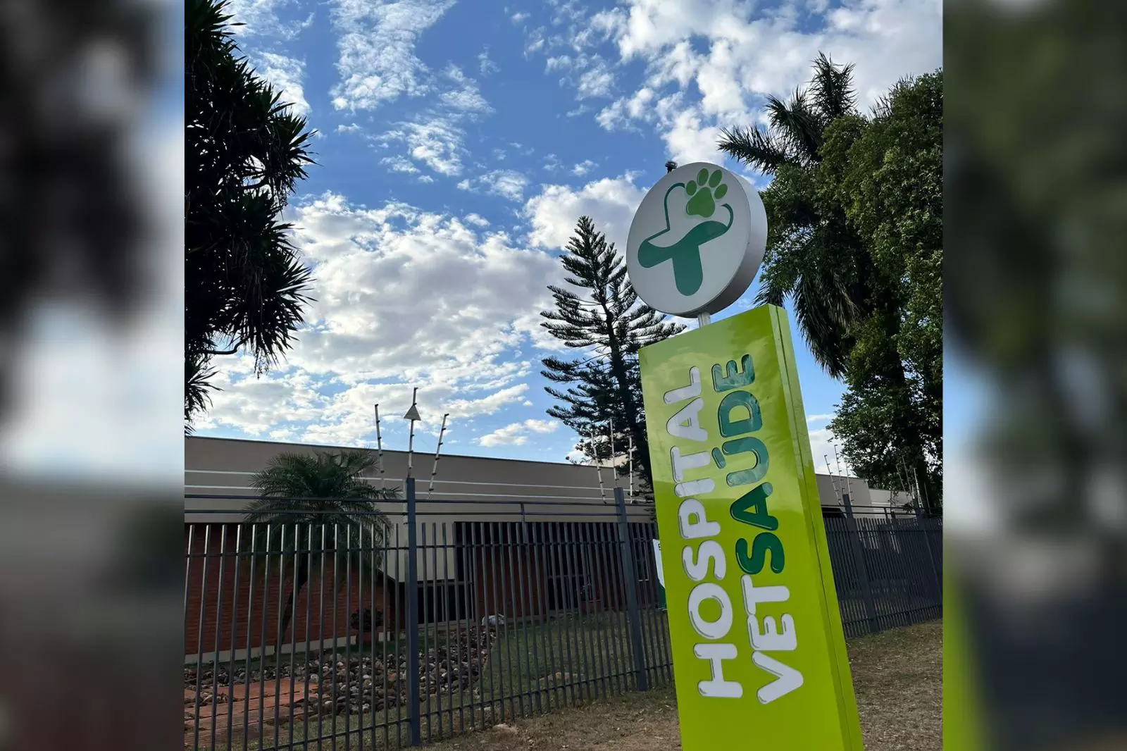 Campo Grande ganha 1° hospital veterinário 24h