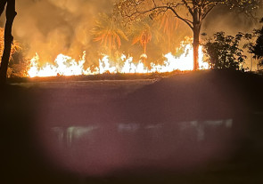 Incêndio atinge área de mata e assusta moradores em Dourados