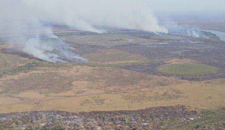 PF cumpre mandados em ação que investiga incêndios criminosos e grilagem de terras no Pantanal