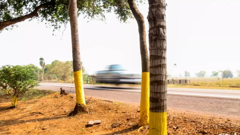 Menina atropelada por caminhonete na BR-262 atravessava rodovia para ir ao banheiro