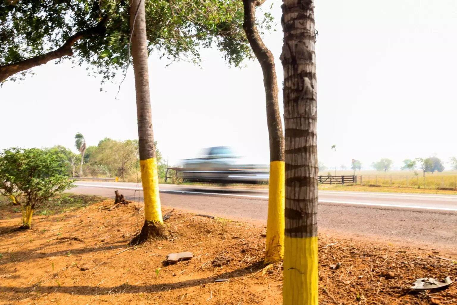 Menina atropelada por caminhonete na BR-262 atravessava rodovia para ir ao banheiro