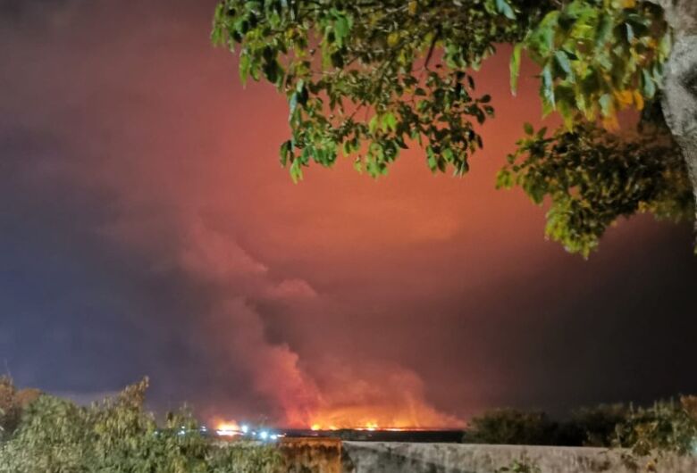 Dois são detidos e levados à delegacia em operação contra incêndios criminosos no Pantanal