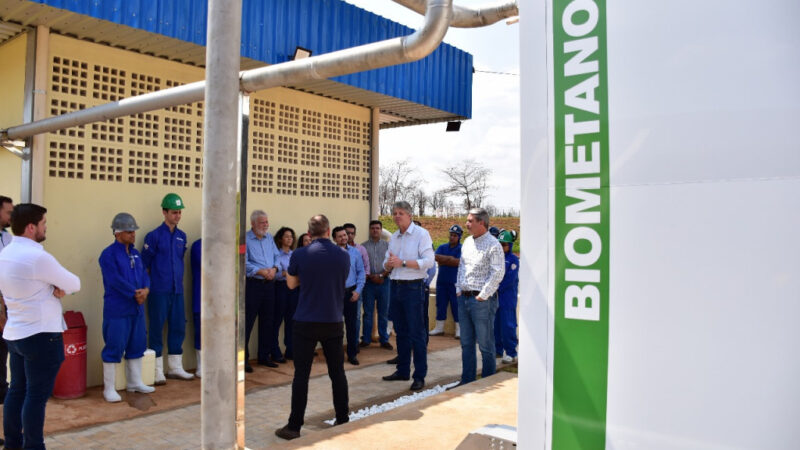 “Combustível do Futuro” promove avanço da bioenergia em MS