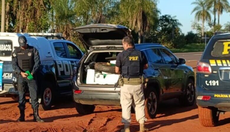 Polícia apreende 783 kg de maconha após perseguição na BR-267 em Jardim