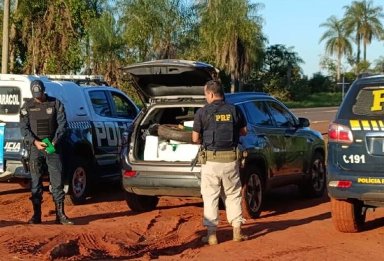 Polícia apreende 783 kg de maconha após perseguição na BR-267 em Jardim