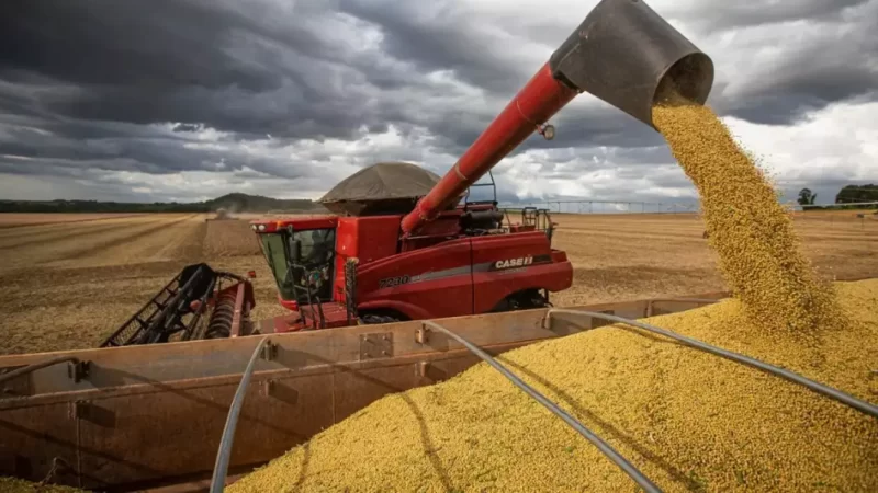 Impulsionado pela soja, Mato Grosso do Sul expande produção agropecuária no 1° semestre de 2024