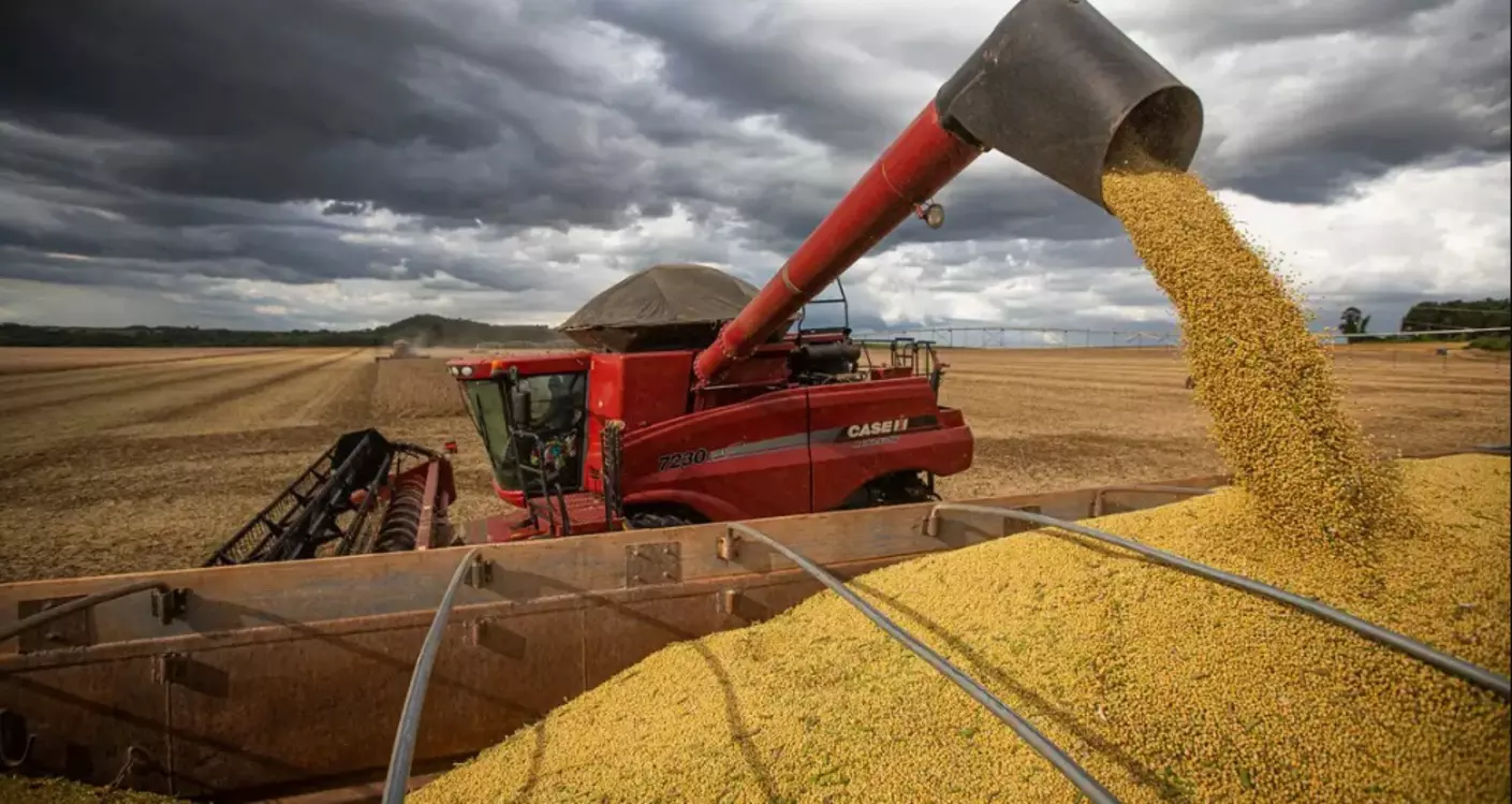 Impulsionado pela soja, Mato Grosso do Sul expande produção agropecuária no 1° semestre de 2024