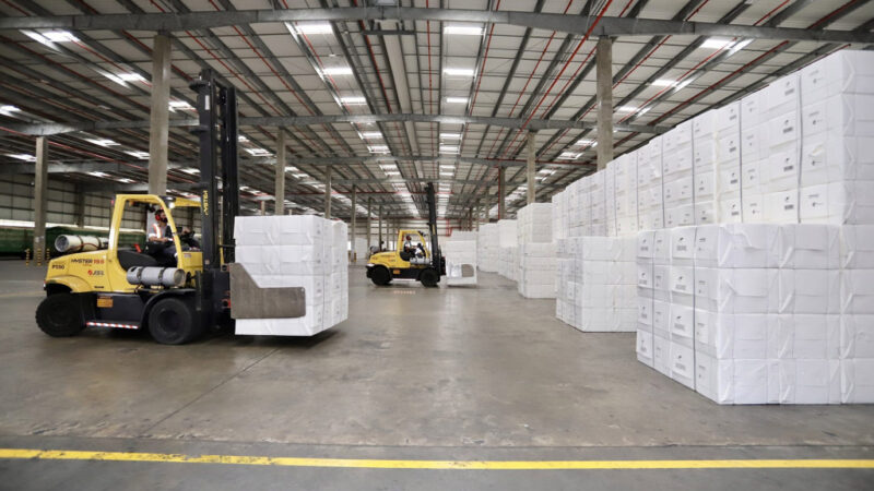 Soja e celulose lideram exportações de MS em outubro