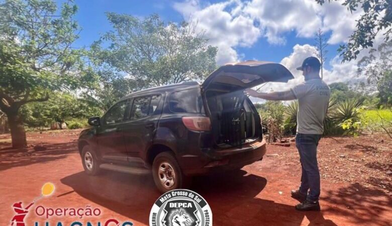 Idoso é preso 15 anos após crime de estupro contra criança em Dourados