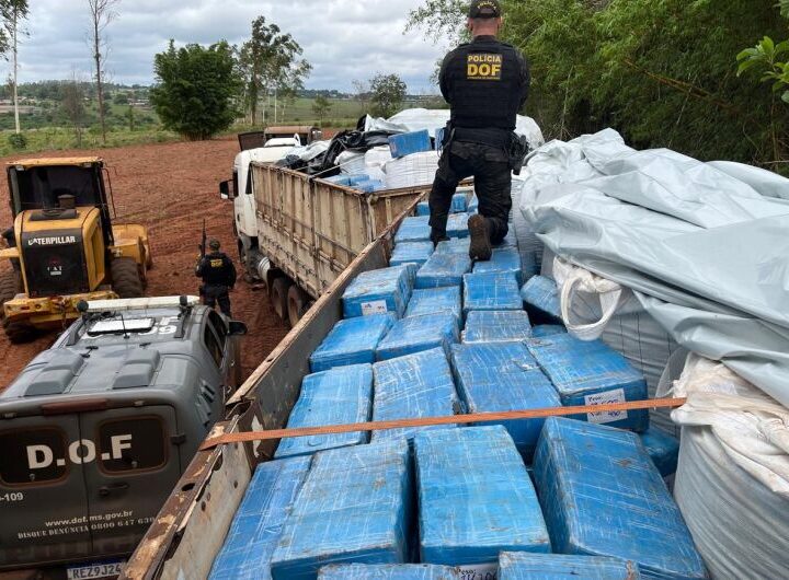 Carreta é apreendida com 8 toneladas de maconha escondida em carga de fertilizantes