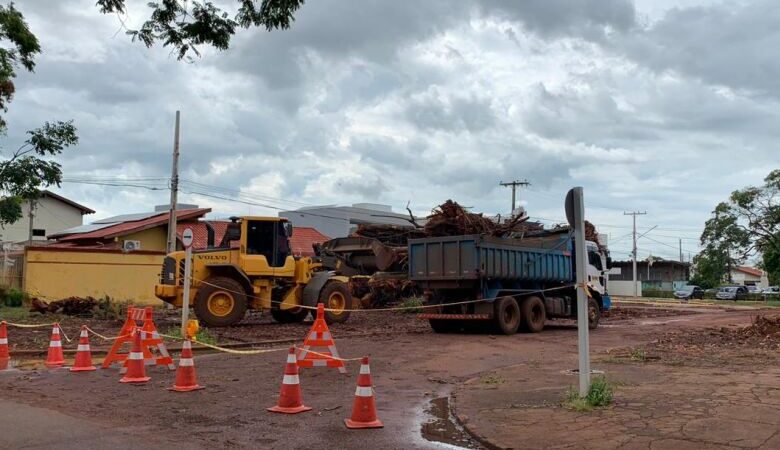 Retirada do tronco de seringueira deve demorar e autoridades trabalham para liberar a via