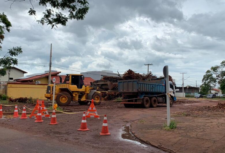 Retirada do tronco de seringueira deve demorar e autoridades trabalham para liberar a via