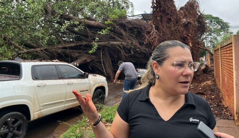 Susto e alívio: neuropsicóloga relata tensão ao encontrar caminhonete intacta após queda de árvore