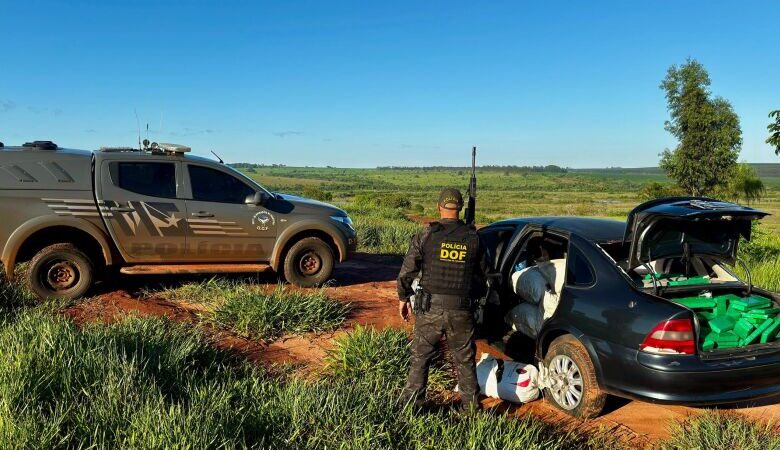 Polícia apreende quase 500 quilos de drogas em operação em Iguatemi