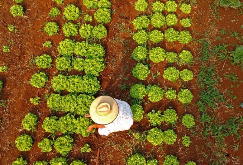 Programa qualificará recém-formados para atuar na agricultura familiar