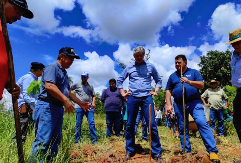 MS inova ao inserir a agricultura familiar no mercado de carbono