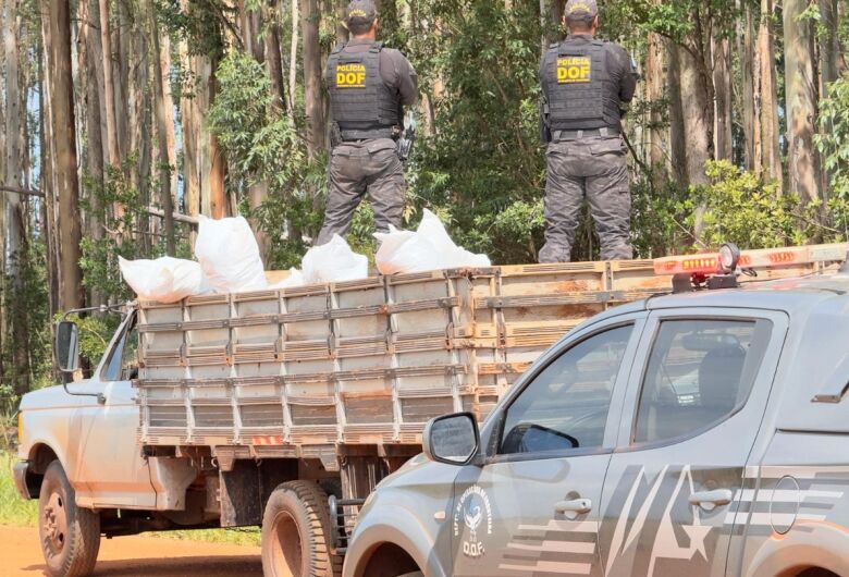 Mais de três toneladas de defensivo agrícola ilegal são apreendidas na fronteira