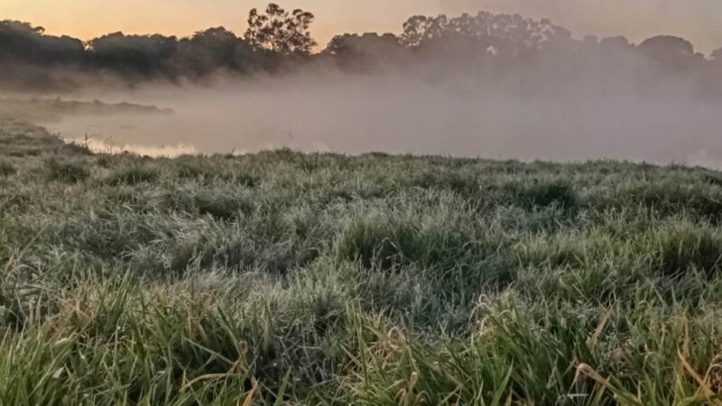 Dourados tem mínima de 3,3 graus e formação de geada na manhã mais fria do ano