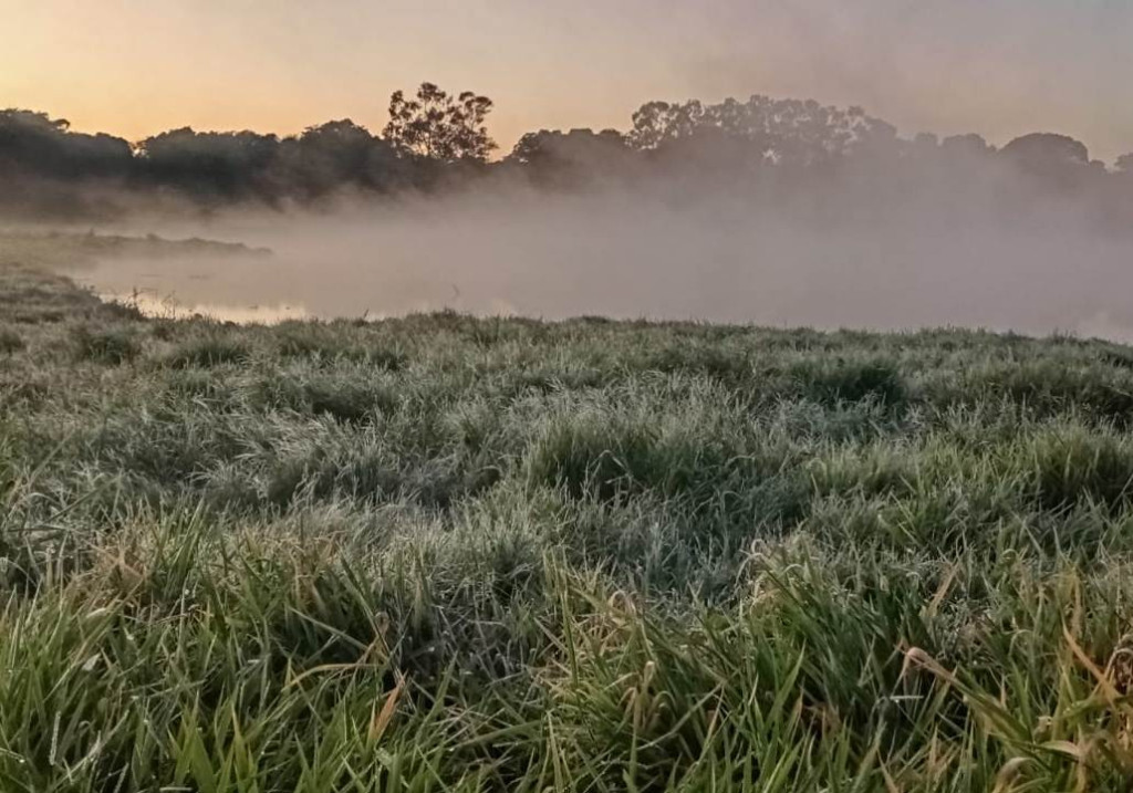 Dourados tem mínima de 3,3 graus e formação de geada na manhã mais fria do ano