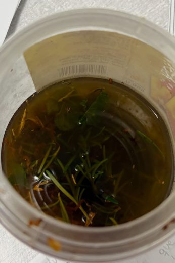 Avó intoxica bebê brasileiro após dar mistura de ervas, maconha e álcool na fronteira